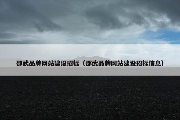 邵武品牌网站建设招标（邵武品牌网站建设招标信息）