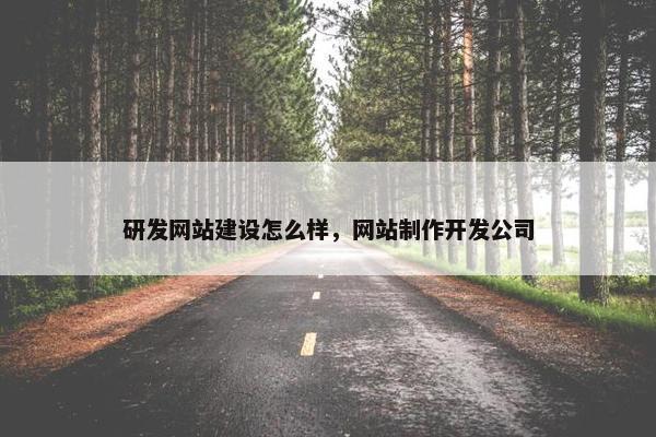 研发网站建设怎么样，网站制作开发公司