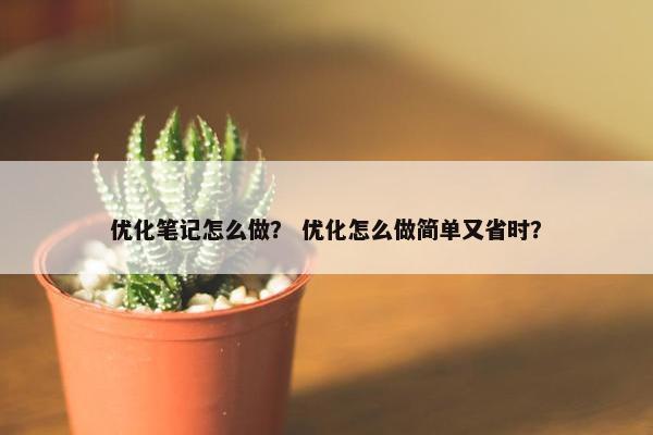 优化笔记怎么做？ 优化怎么做简单又省时？