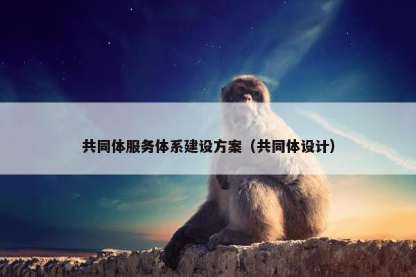 共同体服务体系建设方案（共同体设计）