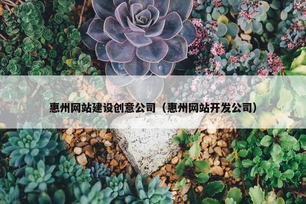 惠州网站建设创意公司（惠州网站开发公司）