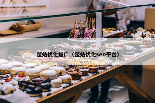 整站优化推广（整站优化seo平台）