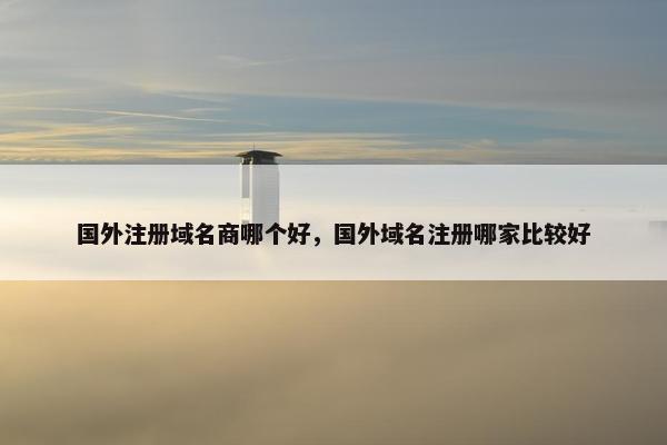 国外注册域名商哪个好，国外域名注册哪家比较好