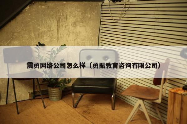 震勇网络公司怎么样（勇振教育咨询有限公司）