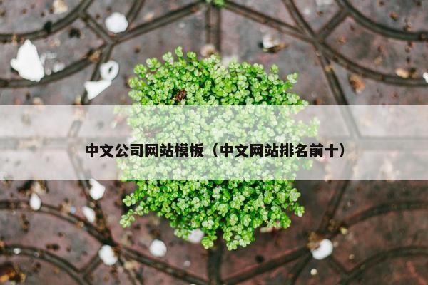 中文公司网站模板（中文网站排名前十）