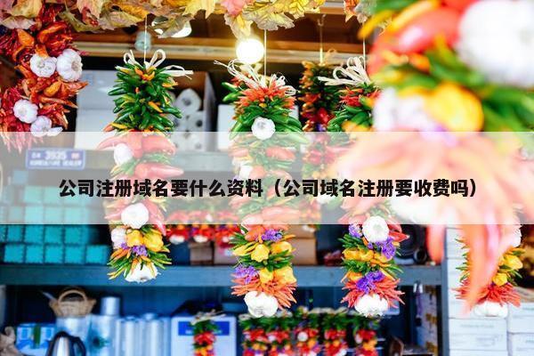 公司注册域名要什么资料（公司域名注册要收费吗）