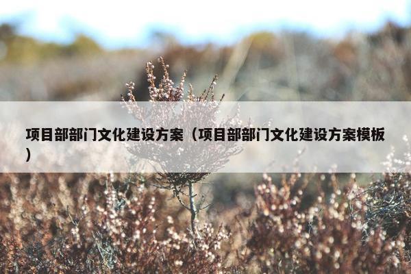 项目部部门文化建设方案（项目部部门文化建设方案模板）