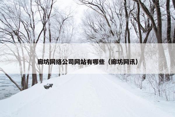 廊坊网络公司网站有哪些（廊坊网讯）