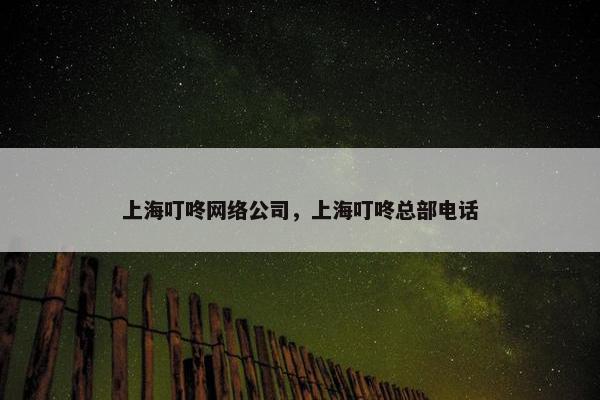 上海叮咚网络公司，上海叮咚总部电话