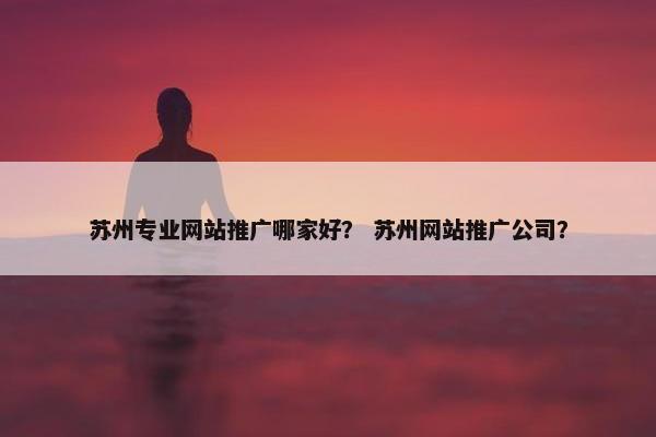 苏州专业网站推广哪家好？ 苏州网站推广公司？