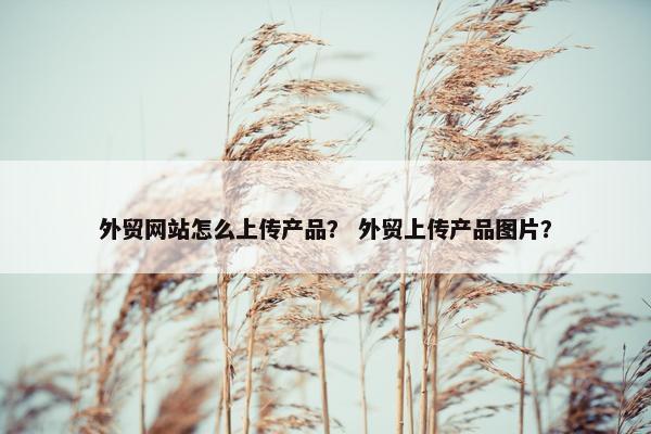 外贸网站怎么上传产品？ 外贸上传产品图片？