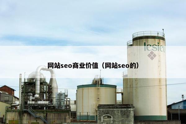 网站seo商业价值（网站seo的）