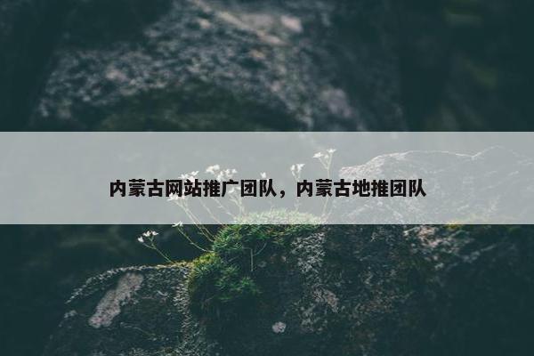 内蒙古网站推广团队，内蒙古地推团队