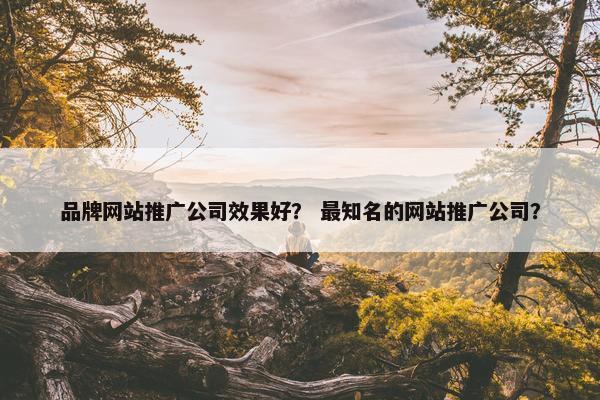 品牌网站推广公司效果好？ 最知名的网站推广公司？