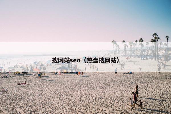 搜网站seo（热盘搜网站）