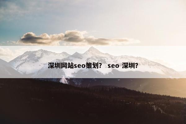 深圳网站seo策划？ seo 深圳？