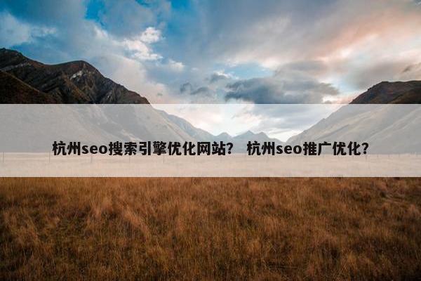杭州seo搜索引擎优化网站？ 杭州seo推广优化？