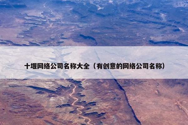 十堰网络公司名称大全（有创意的网络公司名称）