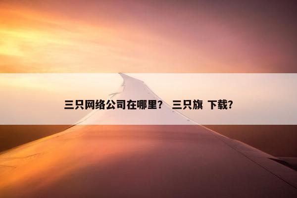 三只网络公司在哪里？ 三只旗 下载？