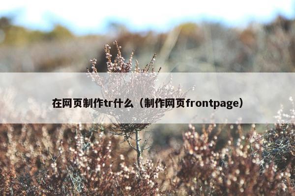 在网页制作tr什么（制作网页frontpage）
