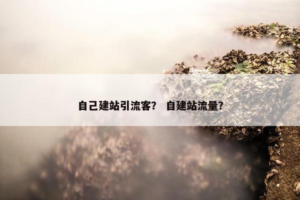 自己建站引流客？ 自建站流量？