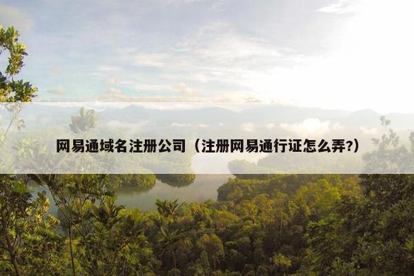网易通域名注册公司（注册网易通行证怎么弄?）