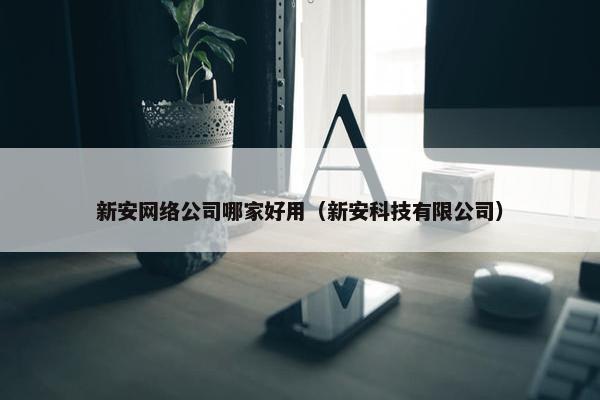 新安网络公司哪家好用（新安科技有限公司）