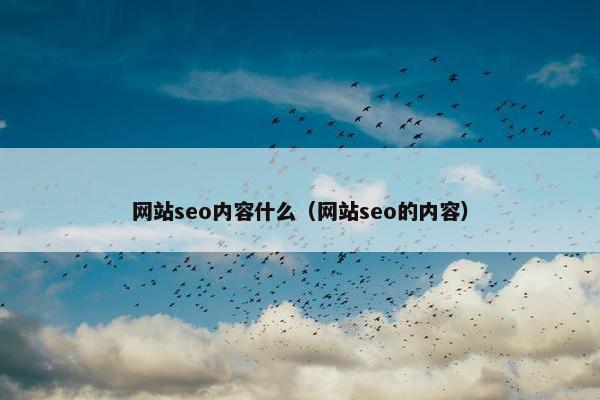 网站seo内容什么（网站seo的内容）