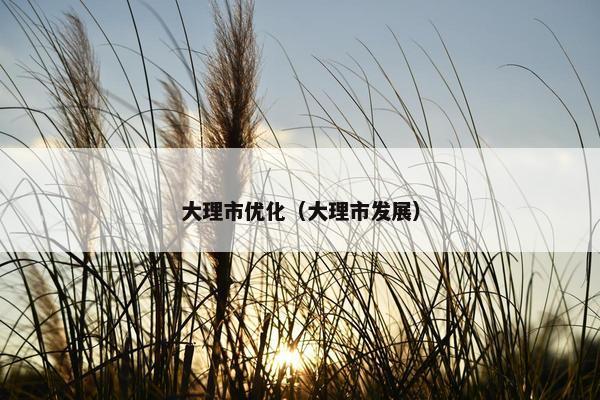 大理市优化（大理市发展）