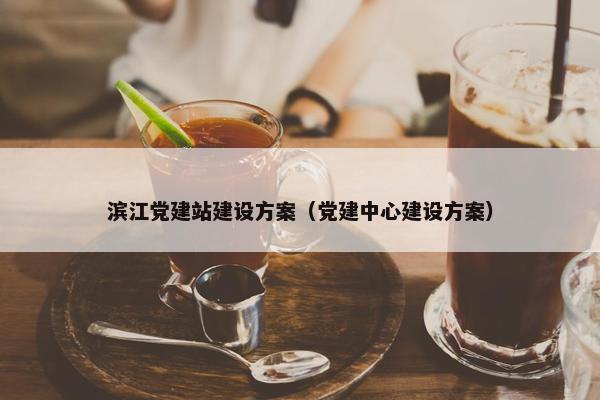 滨江党建站建设方案（党建中心建设方案）