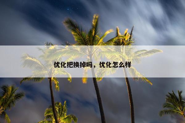 优化把换掉吗，优化怎么样