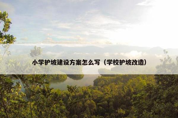 小学护坡建设方案怎么写（学校护坡改造）