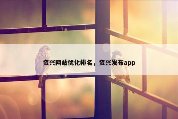资兴网站优化排名，资兴发布app