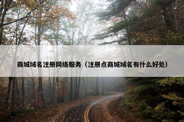 商城域名注册网络服务（注册点商城域名有什么好处）