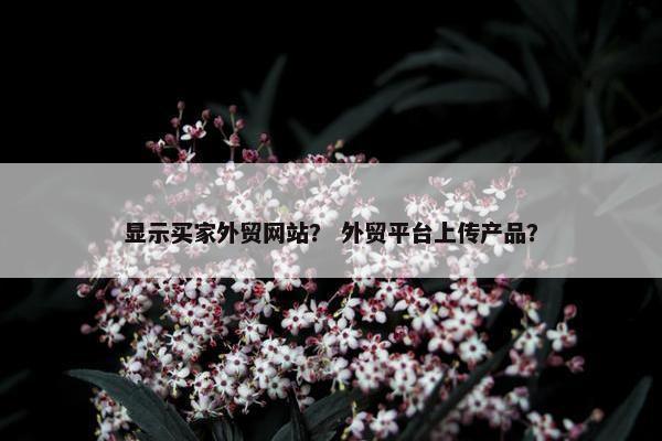 显示买家外贸网站？ 外贸平台上传产品？