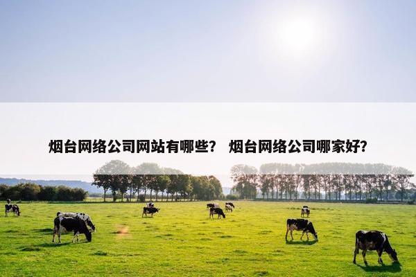 烟台网络公司网站有哪些？ 烟台网络公司哪家好？