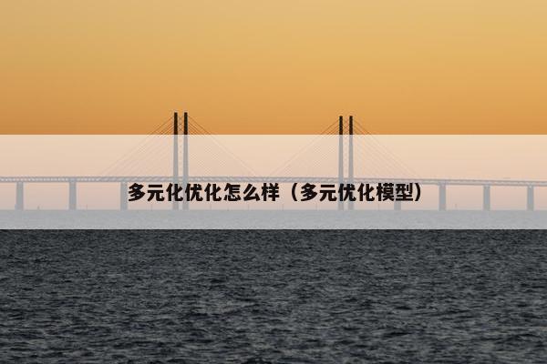 多元化优化怎么样（多元优化模型）