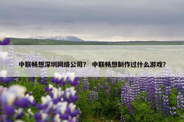 中联畅想深圳网络公司？ 中联畅想制作过什么游戏？