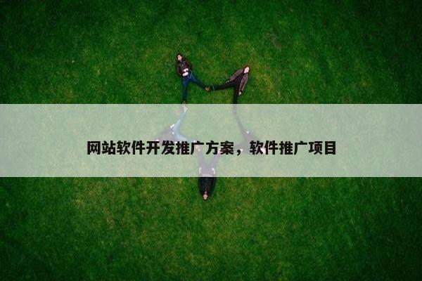 网站软件开发推广方案，软件推广项目