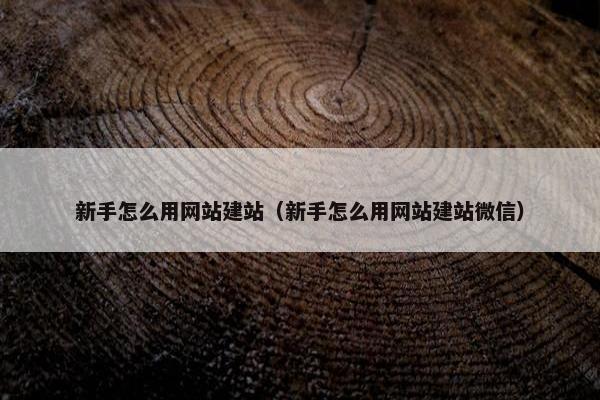 新手怎么用网站建站（新手怎么用网站建站微信）