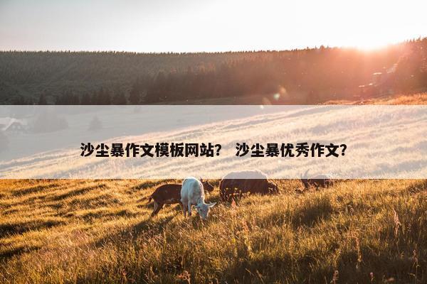 沙尘暴作文模板网站？ 沙尘暴优秀作文？
