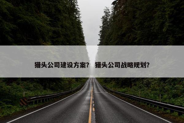 猎头公司建设方案？ 猎头公司战略规划？