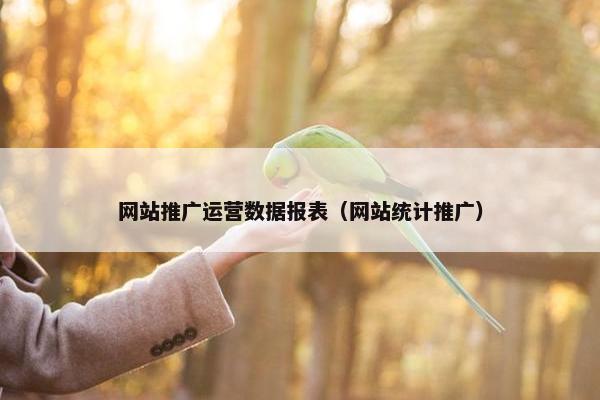 网站推广运营数据报表（网站统计推广）