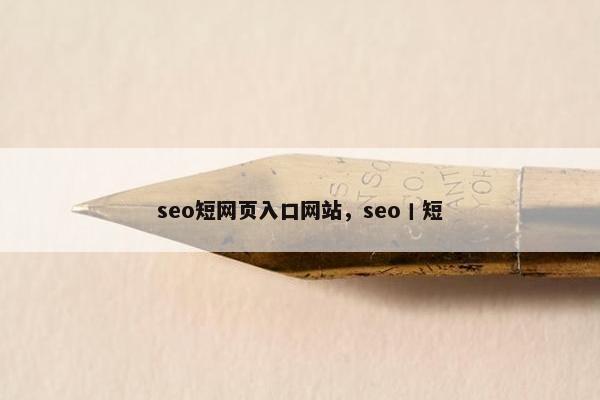 seo短网页入口网站，seo丨短