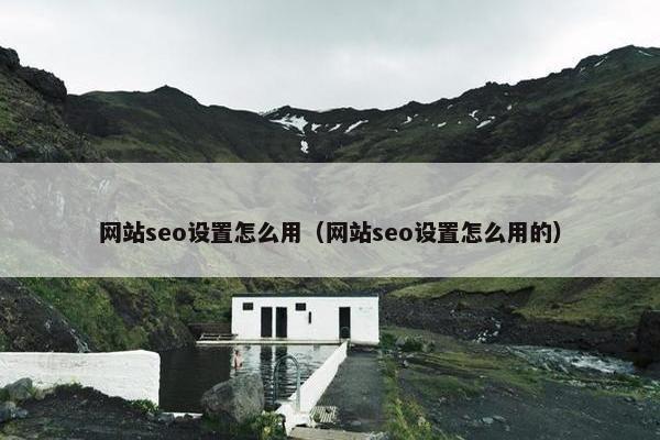 网站seo设置怎么用（网站seo设置怎么用的）