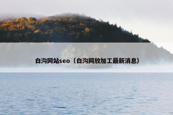 白沟网站seo（白沟网放加工最新消息）