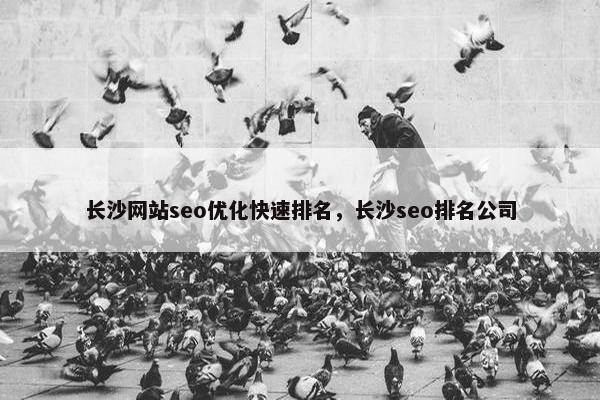 长沙网站seo优化快速排名，长沙seo排名公司