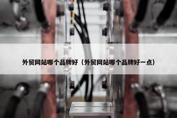 外贸网站哪个品牌好（外贸网站哪个品牌好一点）