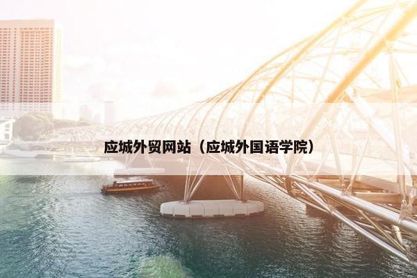 应城外贸网站（应城外国语学院）