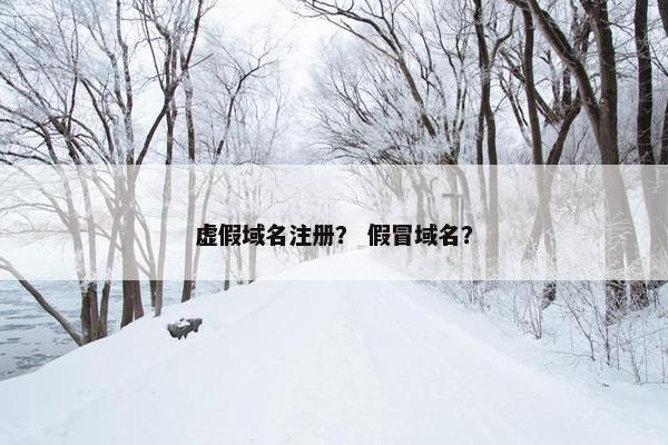 虚假域名注册？ 假冒域名？